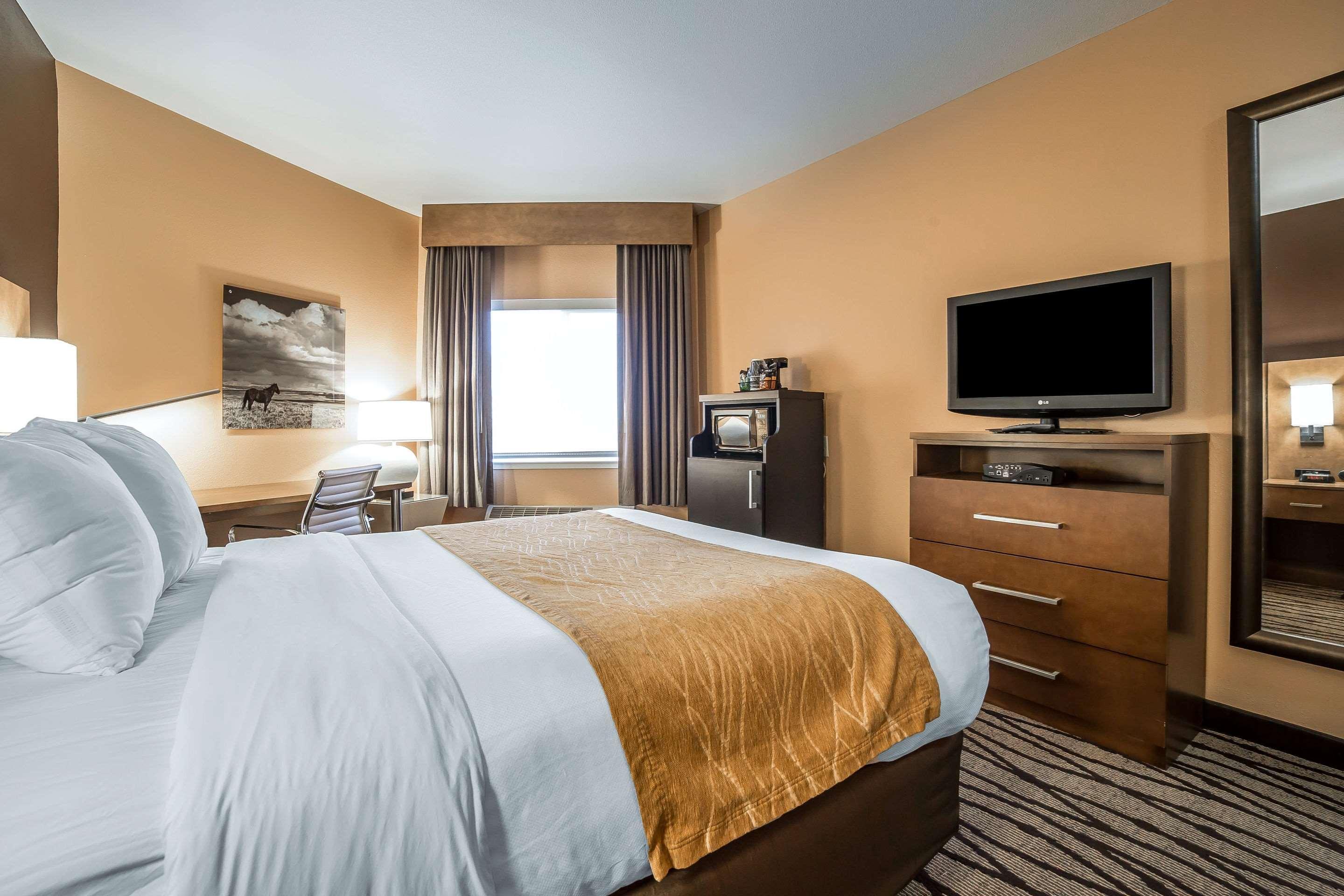 גרייט פולס Comfort Inn & Suites Market - Airport מראה חיצוני תמונה