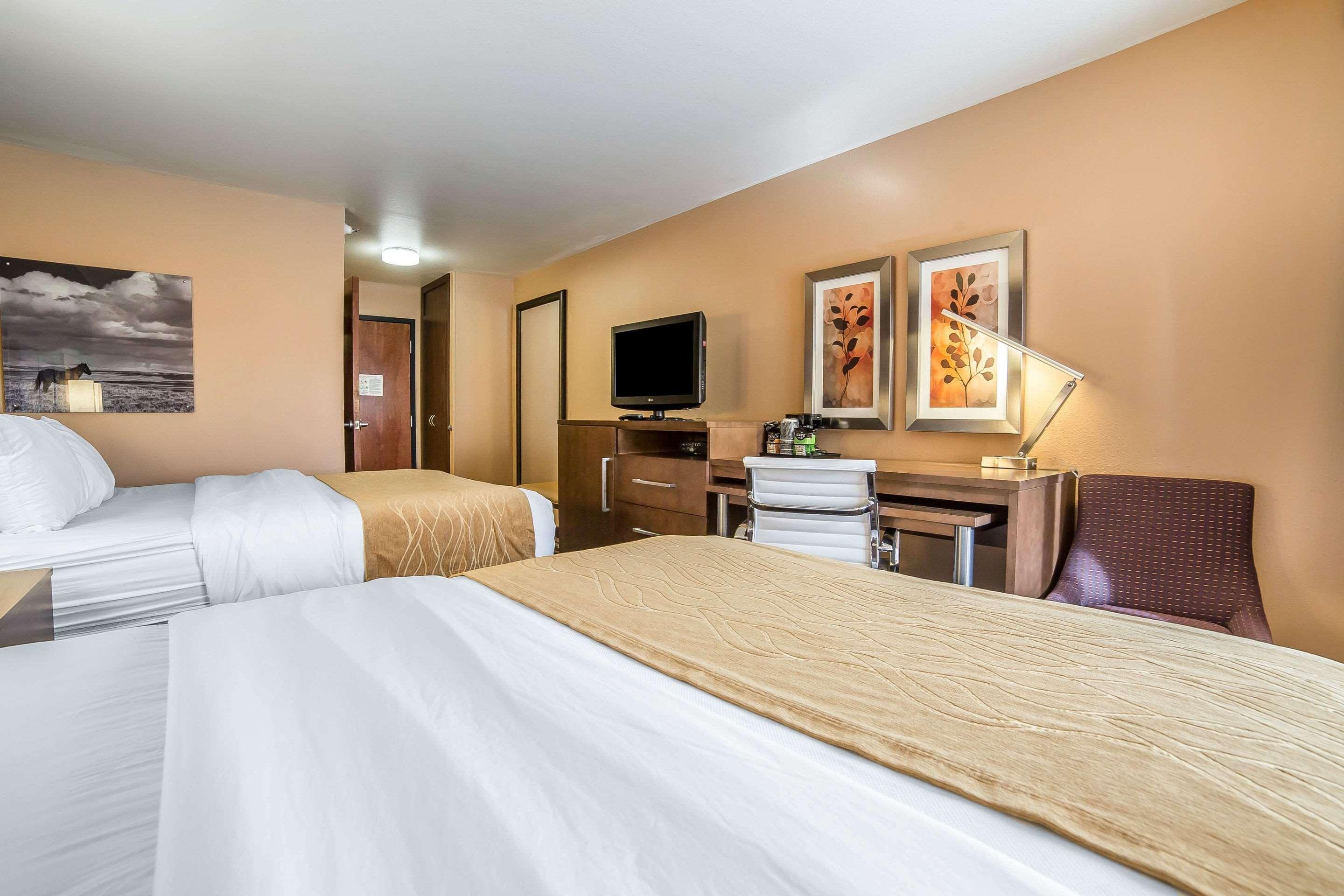 גרייט פולס Comfort Inn & Suites Market - Airport מראה חיצוני תמונה