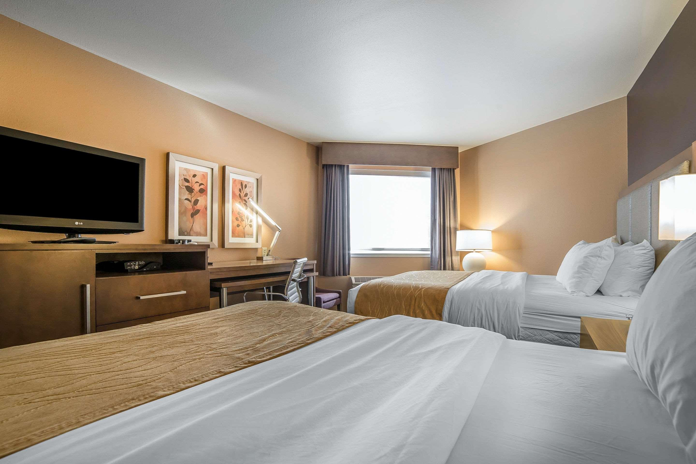 גרייט פולס Comfort Inn & Suites Market - Airport מראה חיצוני תמונה