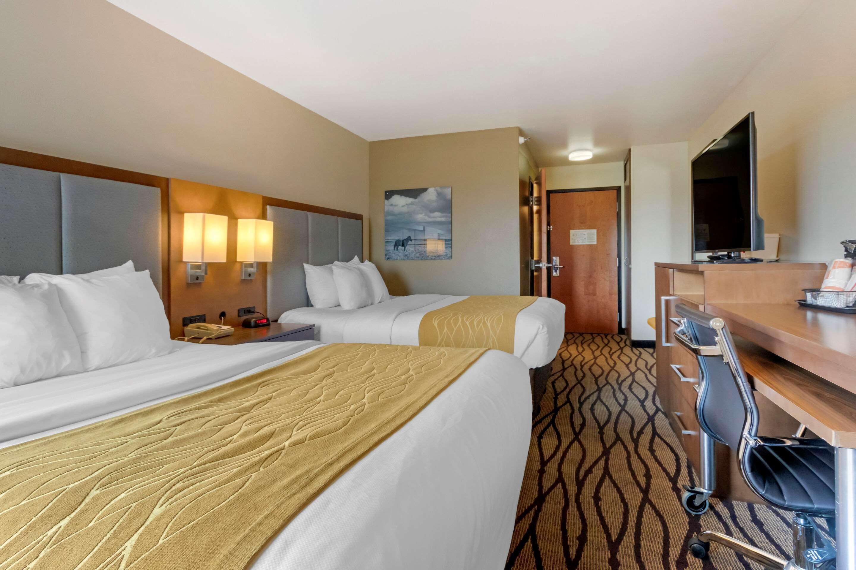 גרייט פולס Comfort Inn & Suites Market - Airport מראה חיצוני תמונה