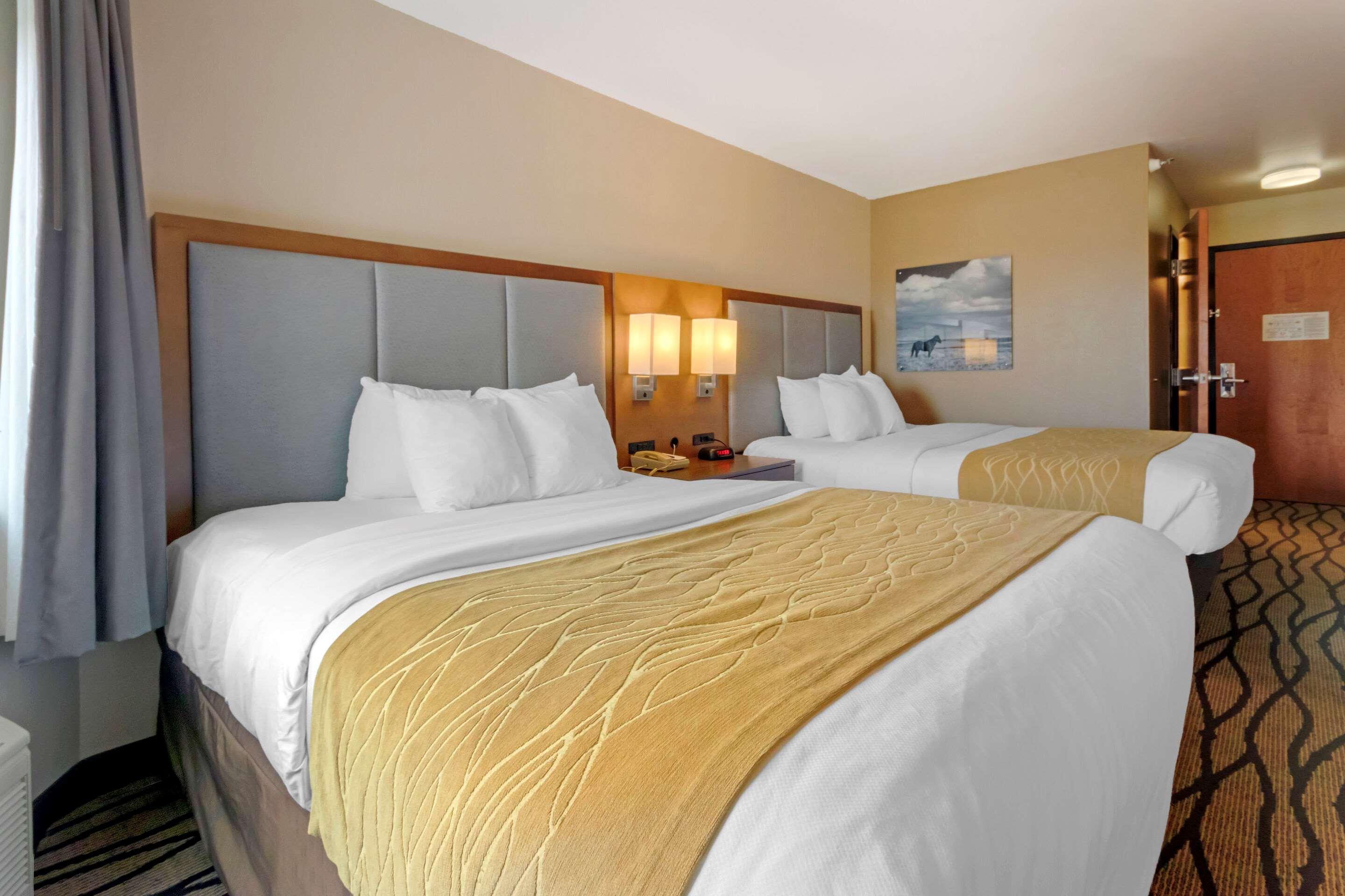 גרייט פולס Comfort Inn & Suites Market - Airport מראה חיצוני תמונה