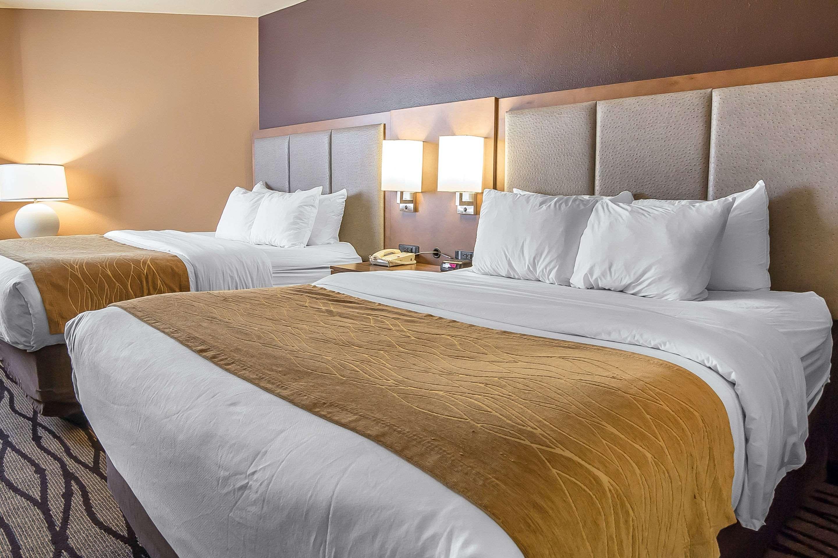 גרייט פולס Comfort Inn & Suites Market - Airport מראה חיצוני תמונה