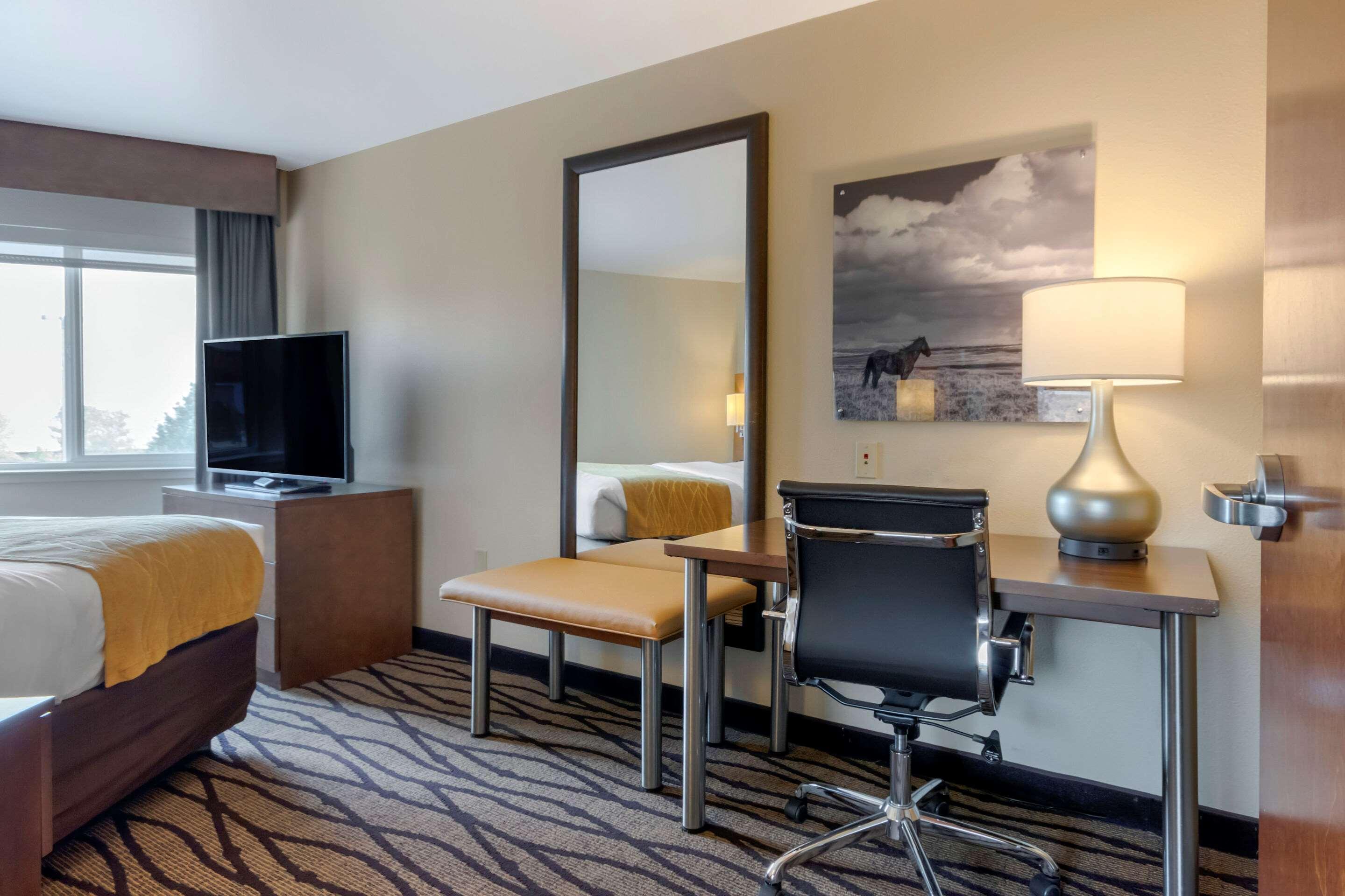גרייט פולס Comfort Inn & Suites Market - Airport מראה חיצוני תמונה