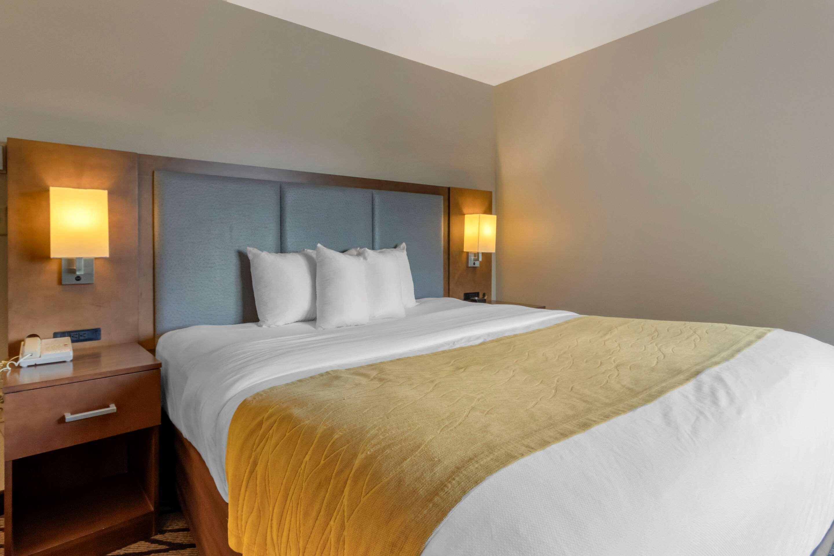 גרייט פולס Comfort Inn & Suites Market - Airport מראה חיצוני תמונה