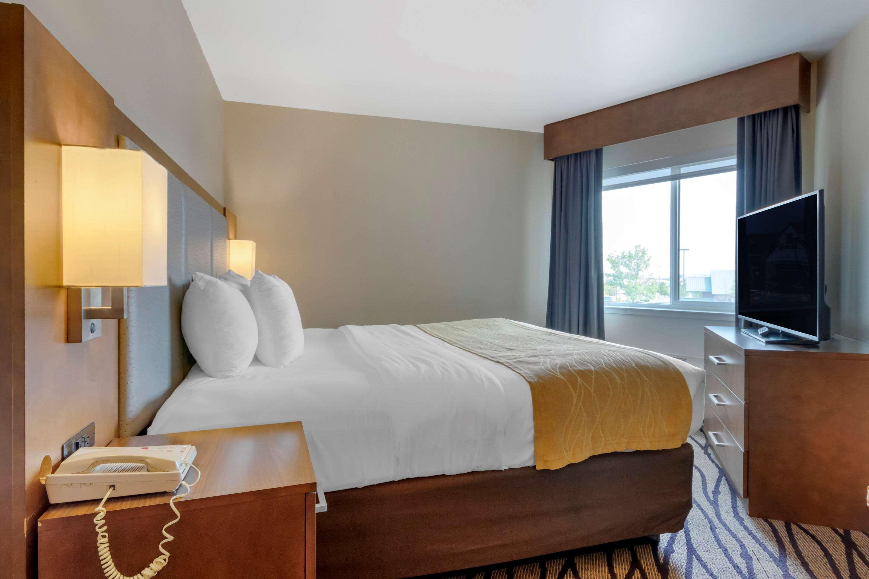גרייט פולס Comfort Inn & Suites Market - Airport מראה חיצוני תמונה